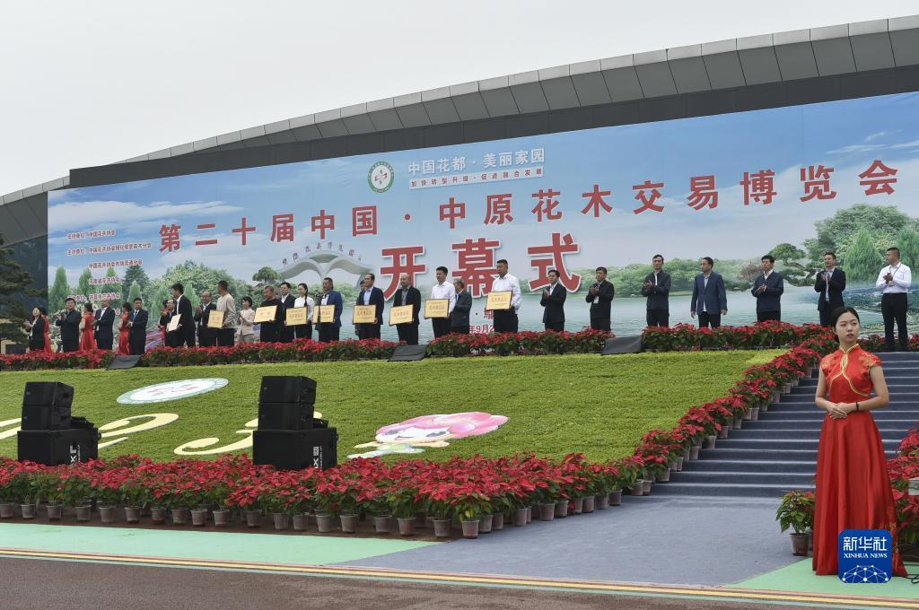 掌上棋牌官网